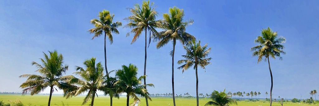 RoyMsdgeorge7's profile banner image