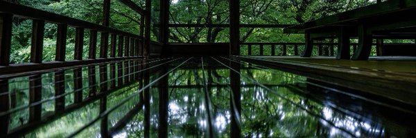 lemon5970 Profile Banner