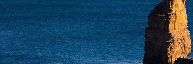 survivalvl's profile banner image