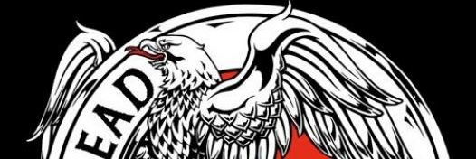 Frowin banner