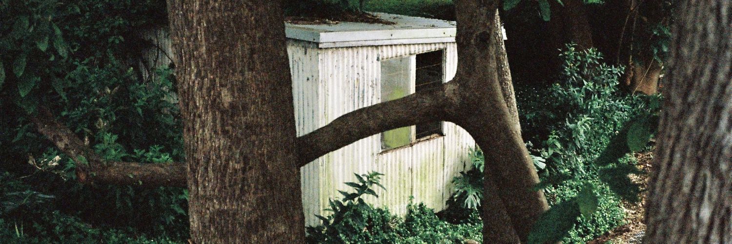 AV8 Darby ✯ banner