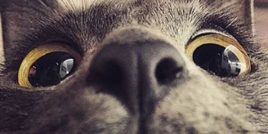 raihd00's profile banner image