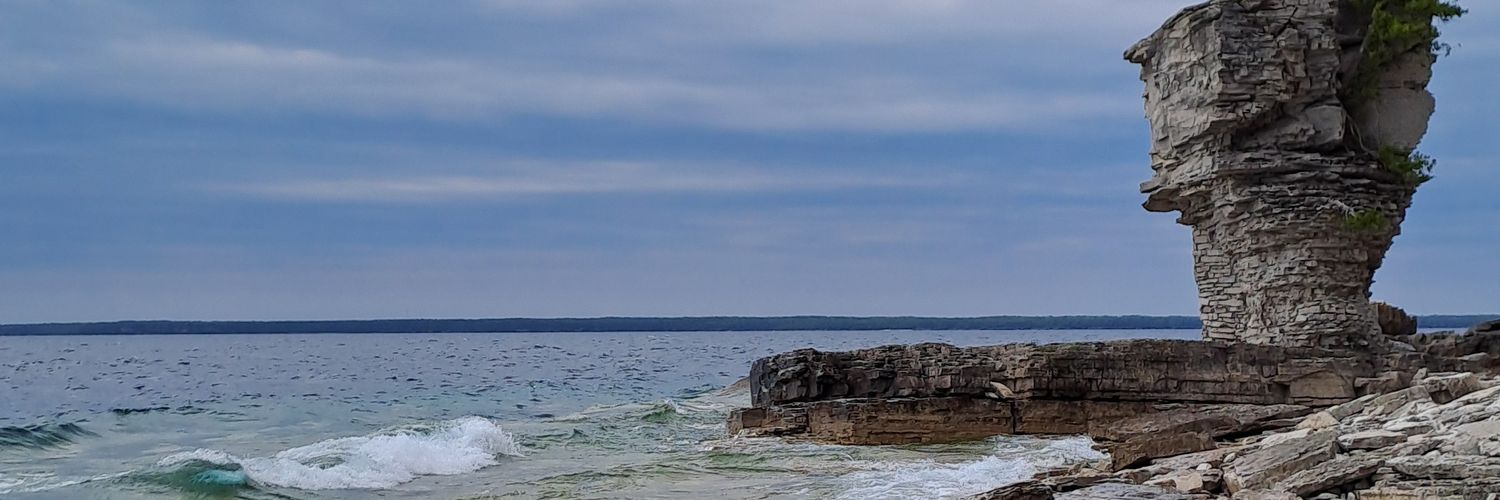 limona_verde's profile banner image