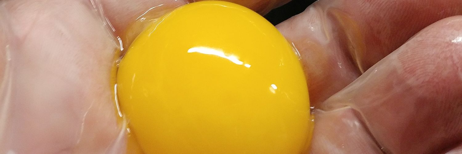basslinechef's profile banner image