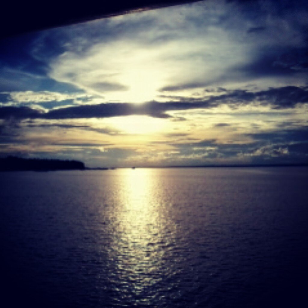 Erichmotta's profile banner image