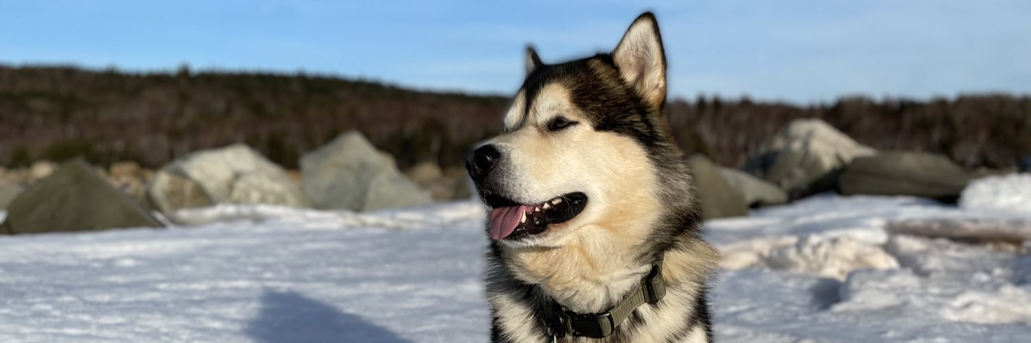 Jeffie6's profile banner image