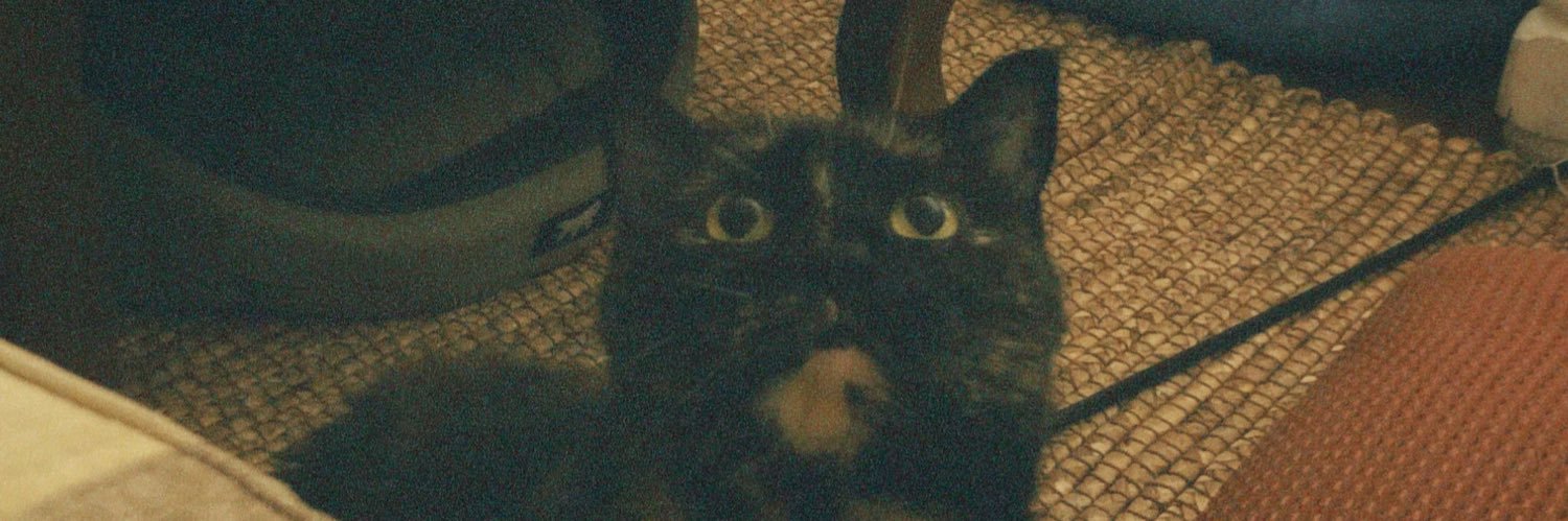 Caami019's profile banner image