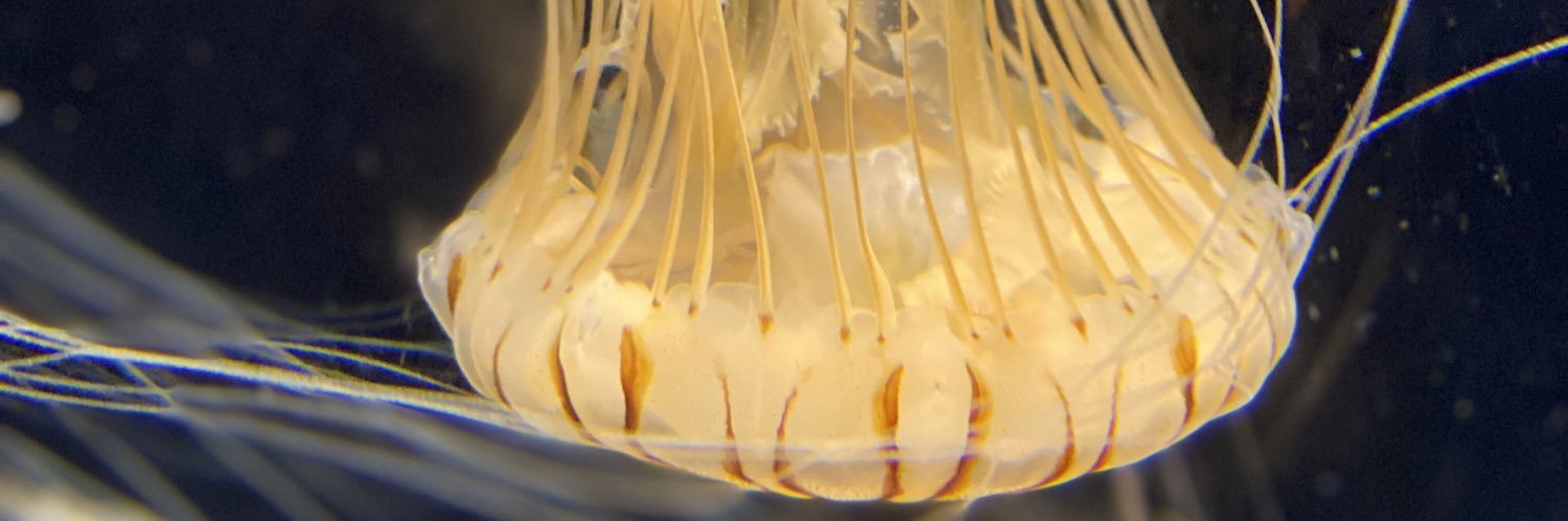 Chris Hardtman banner