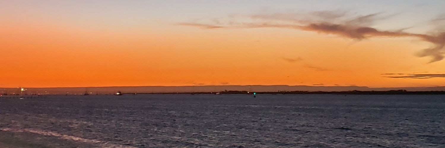 Manuel Fuentes Muñiz banner