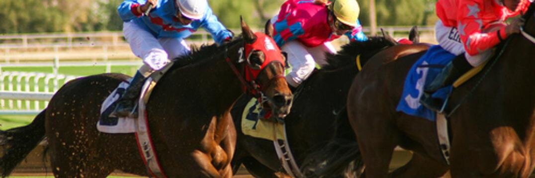 horseplayer7's profile banner image