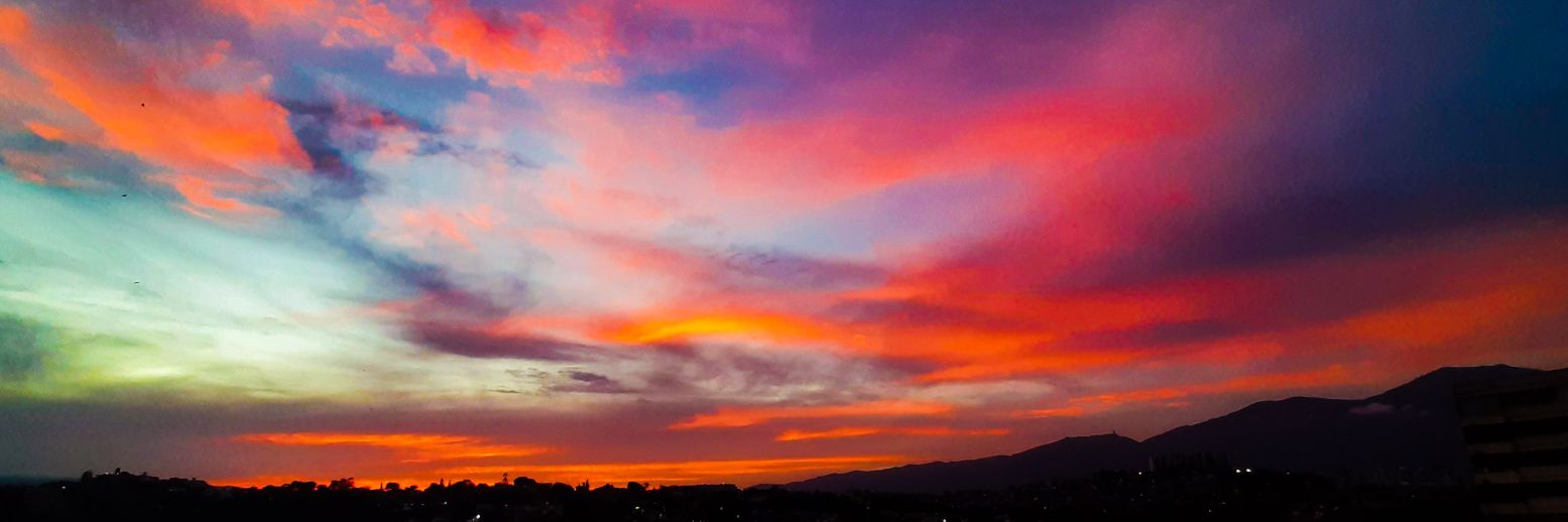 🌙Bárbara banner