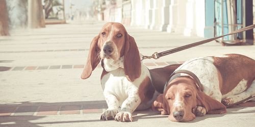 K_River_b's profile banner image