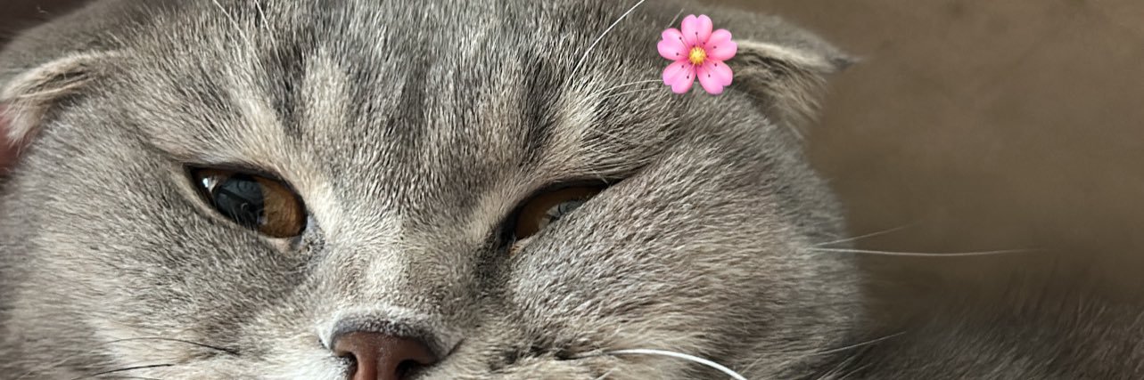 minnadogan's profile banner image