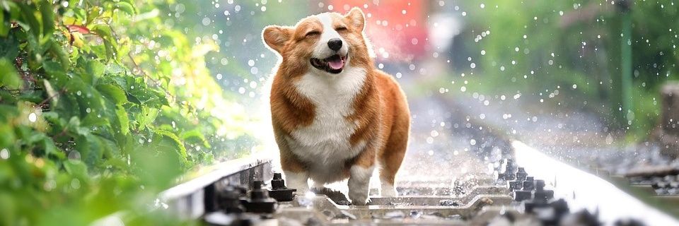 Luiz Lancaster Progressista banner