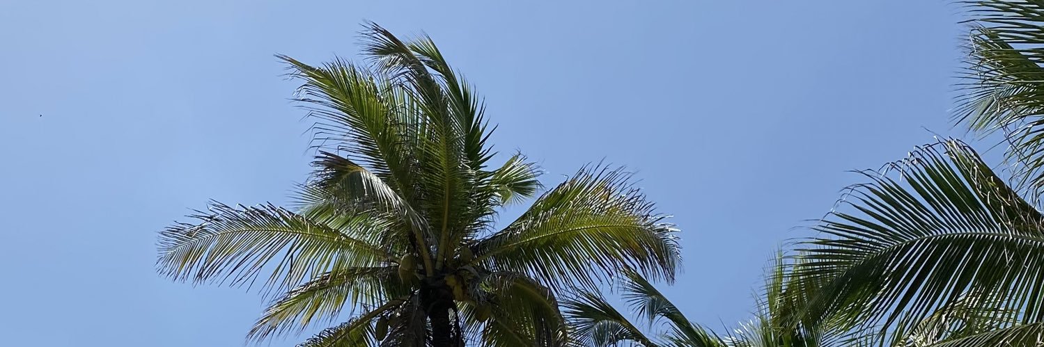 dannakcc's profile banner image
