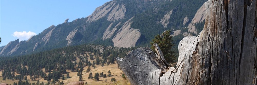 mcarey26's profile banner image