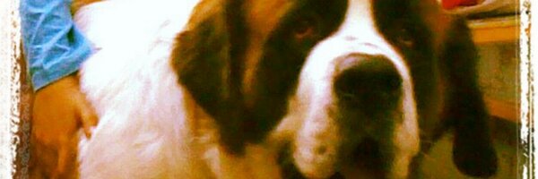 battrebeet Profile Banner