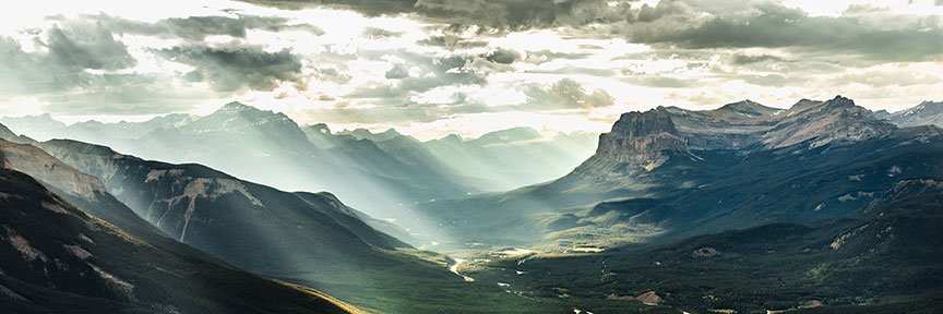 robert curlette banner