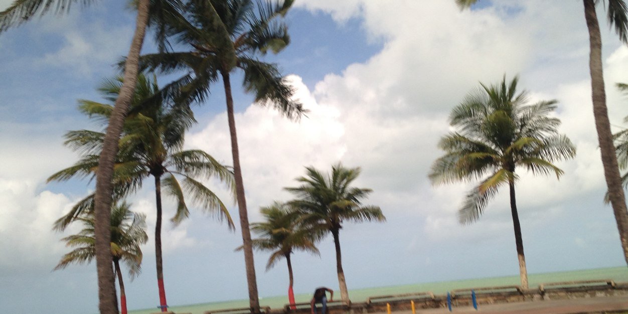 cattycosta's profile banner image