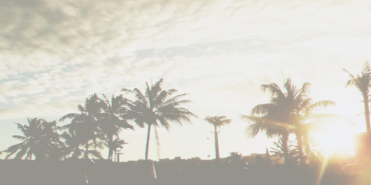 perrieaergdr's profile banner image