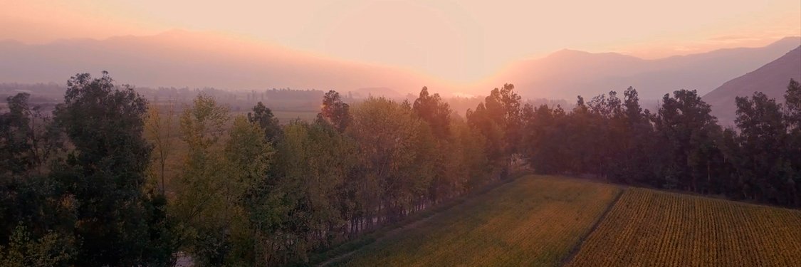 ButronBWinery's profile banner image