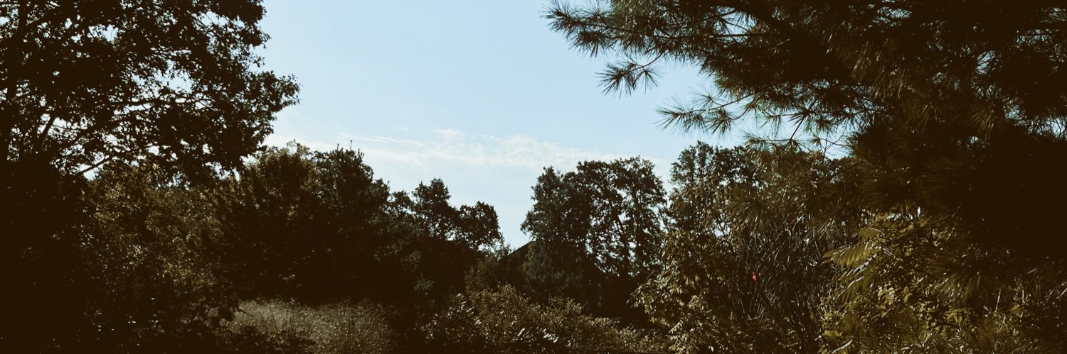 emilyybowles's profile banner image