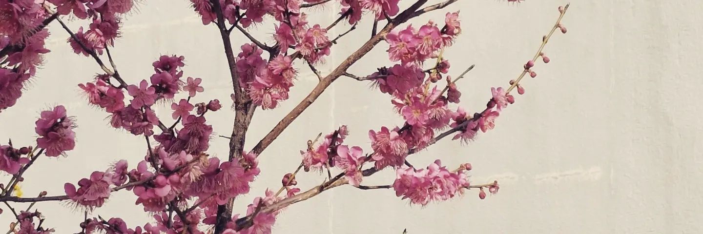 Trabman075's profile banner image