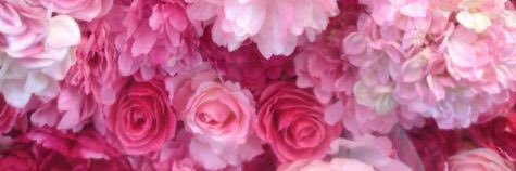 3D33b4's profile banner image