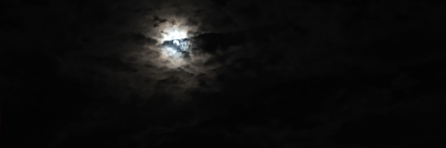 s0ulip's profile banner image