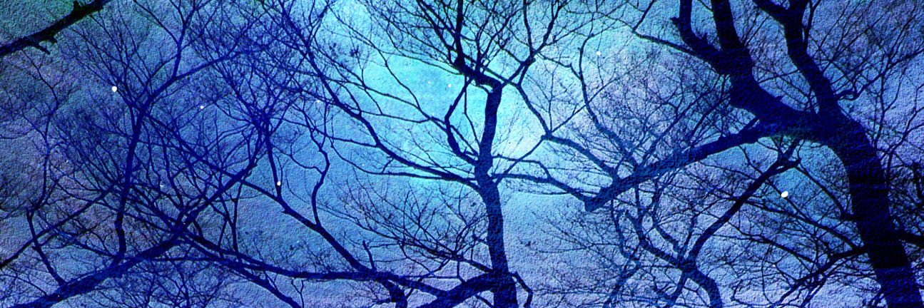 unteared's profile banner image