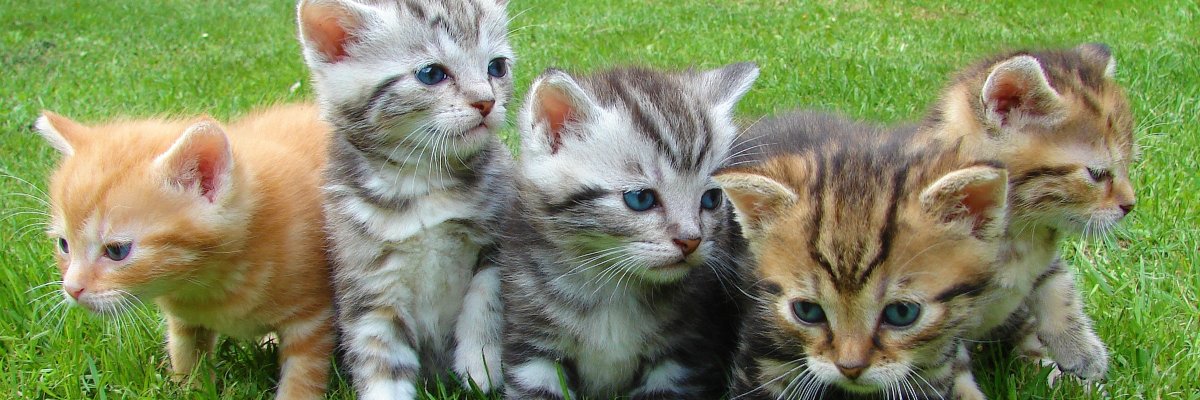 Re:0円から始めるFXで風俗生活 banner