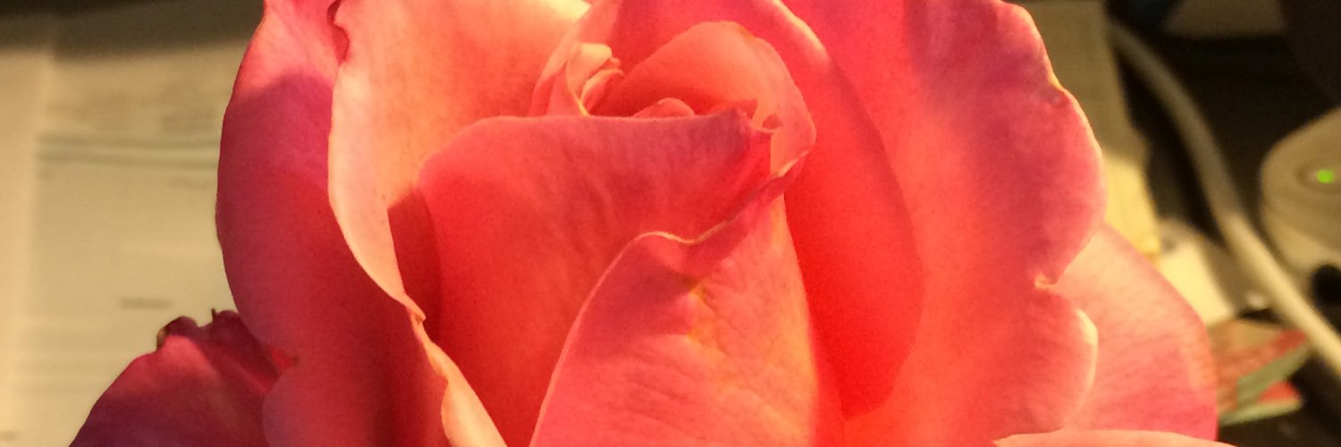 Allisonhicks's profile banner image