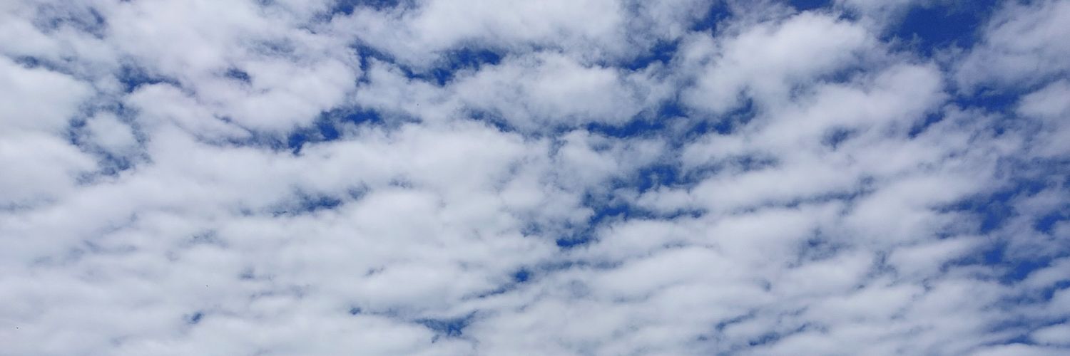 tiruzine's profile banner image