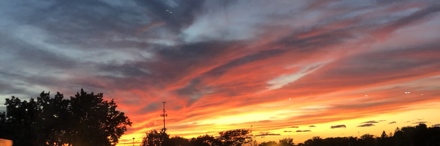 reillytimko01's profile banner image