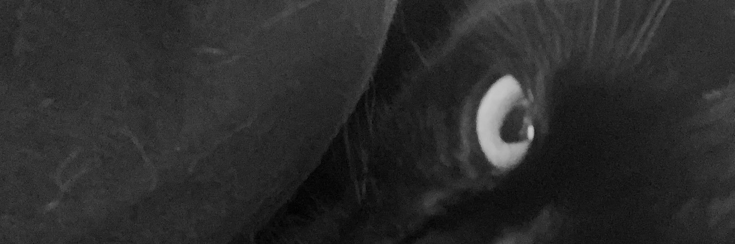 JOKI SKRIPSI I JOKI TUGAS | JOKI TULIS banner