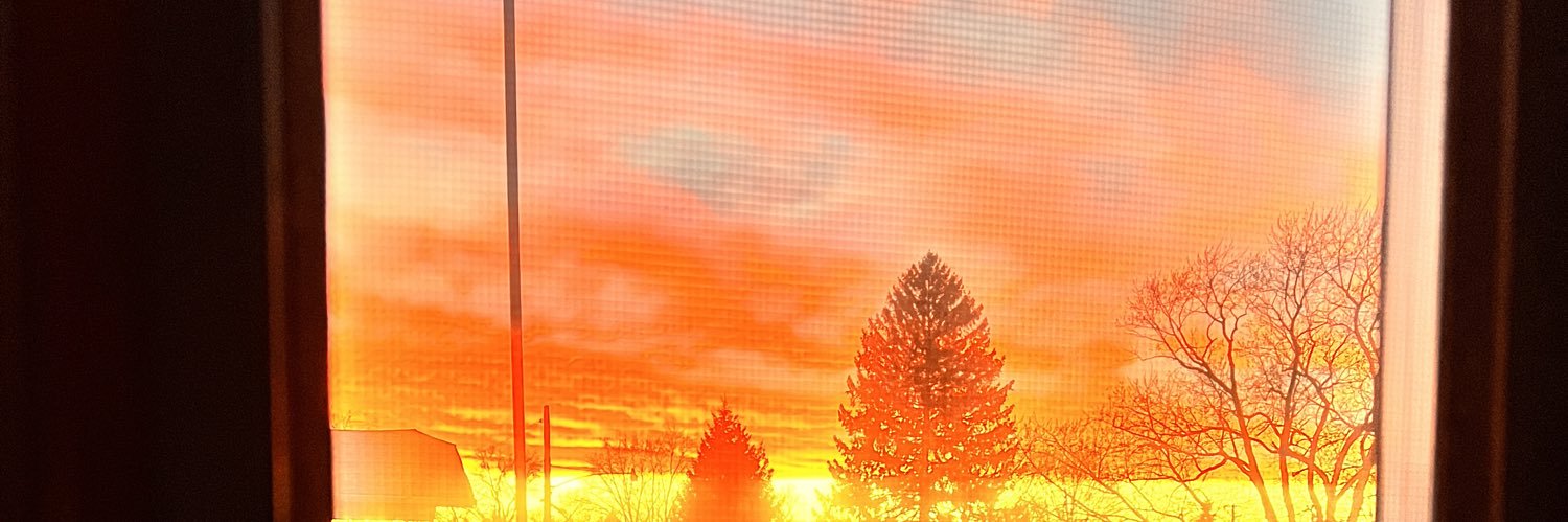 Michele Kristen banner