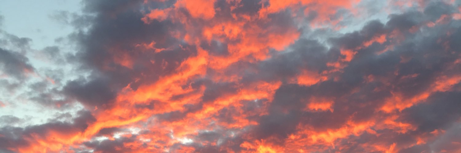 asaninnap's profile banner image