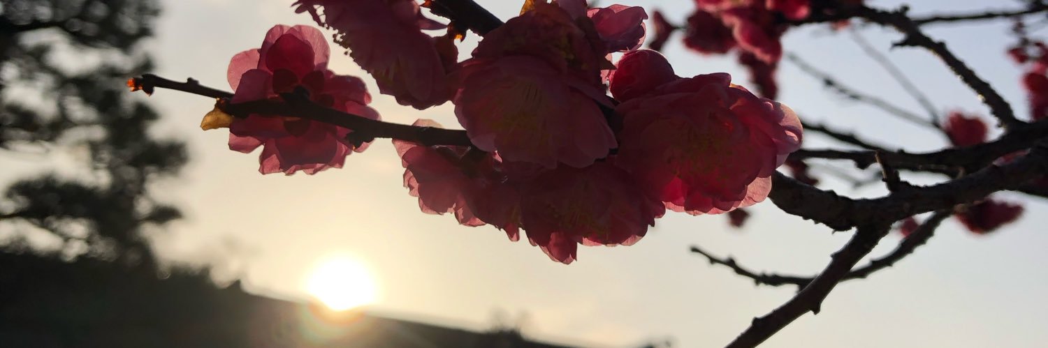 tk_mtk_'s profile banner image