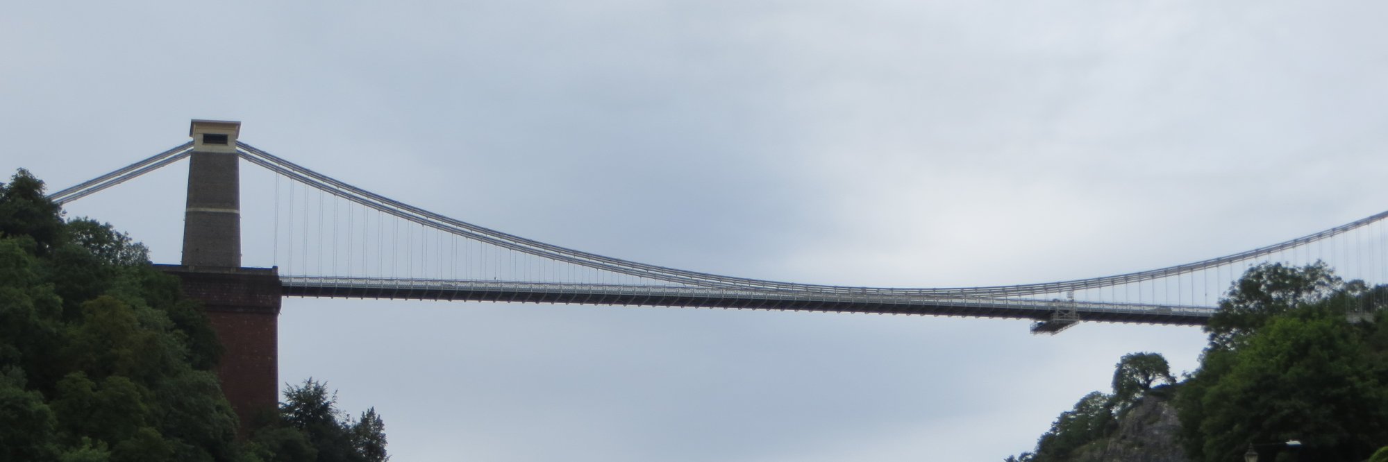 Jonathan Davis banner