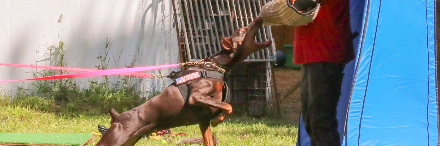 Marylyn DeGregorio banner