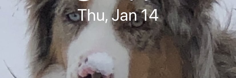 Kenny Creehan banner