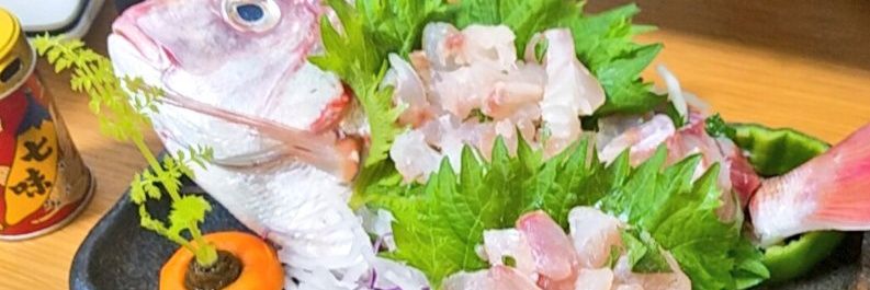 tellmasa's profile banner image