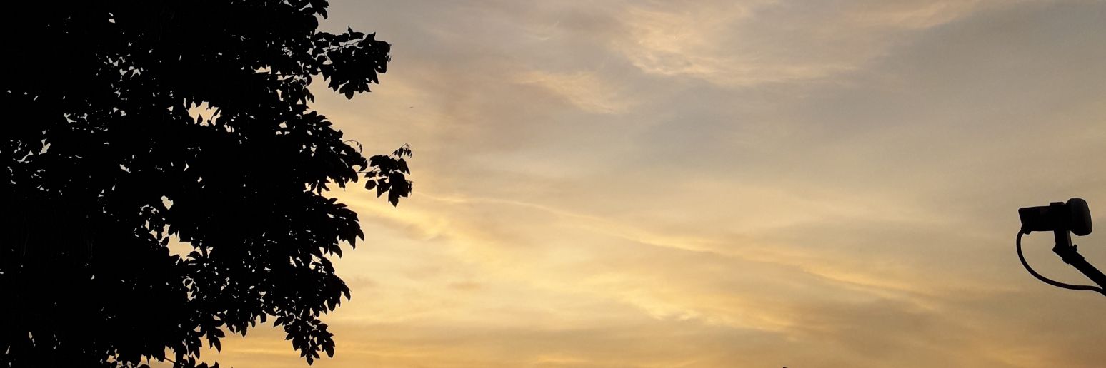 aomrin1999's profile banner image