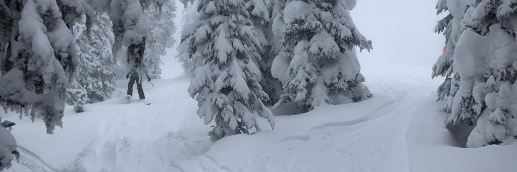 michaelaholmber's profile banner image