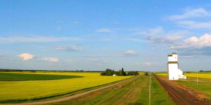 beautifulplains's profile banner image