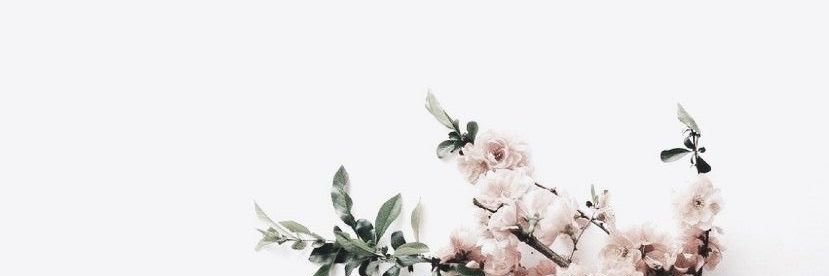 AzraEceAcarlar's profile banner image