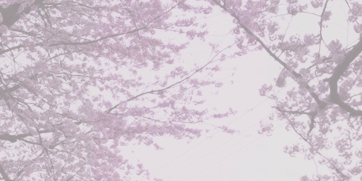 SnowDeKelsey's profile banner image