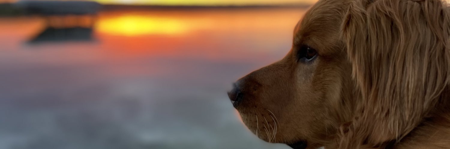 ryanlotz35's profile banner image