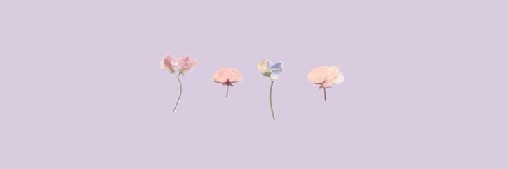xxwanabeee's profile banner image