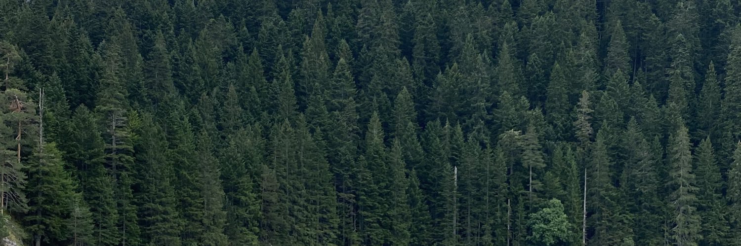 masiuliok's profile banner image